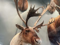 -陕西自然博物馆