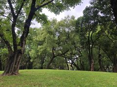-晓港公园
