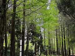 -苏州河梦清园环保主题公园