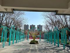 -张店儿童公园