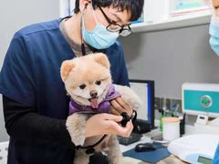 -关爱宠物医院·猫科中心·消化科(滨湖万达分院)