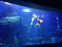 -多彩贵州城极地海洋世界