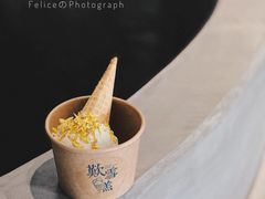 小榄菊花-歎雪糕低糖低脂Gelato冰淇淋
