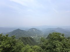-栾川竹海野生动物园