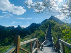 -大岭沟猕猴桃谷风景区