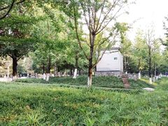 -龙头寺公园