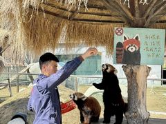 -水上乐园·欢乐世界