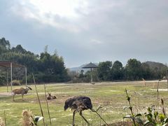 -宁波野生动物园