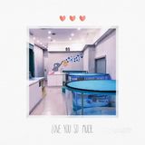 今日份打卡创学乐游泳馆[糖果]