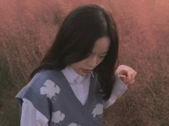 -王借岗森林公园