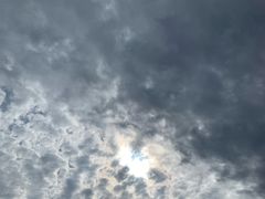 -春花秋色城市公园