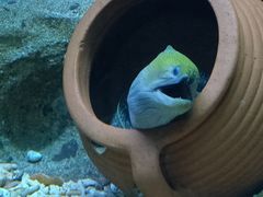 -蓬莱欧乐堡海洋极地世界