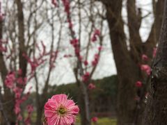 -昆山城市生态森林公园