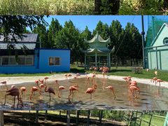 -秦皇岛野生动物园
