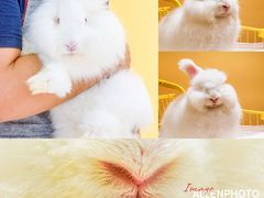 -茂业百货(东门店)