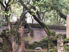 -天一阁博物院