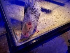 -zoonana室内动物园(东方福来德店)