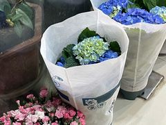 -武汉花鸟市场