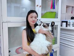 -青奢宠物·青奢猫舍