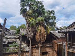 -田德能咖啡博物馆
