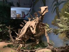 -自贡恐龙博物馆