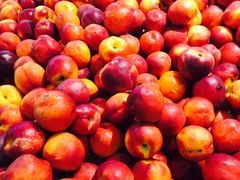 -麦德龙(湖里店)