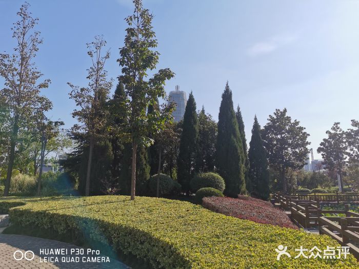 郑东新区湿地公园图片