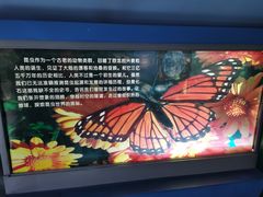 -上海昆虫博物馆