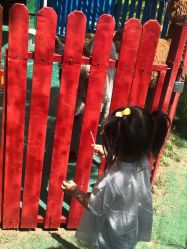 点击看大图 -萌宠亲子动物乐园(槐房万达店)