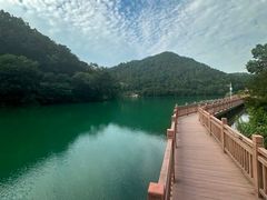 -桃花岭景区