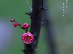 -尚贤河湿地