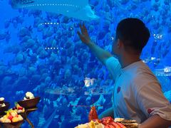 -亚特兰蒂斯•OSSIANO奥西亚诺海底餐厅