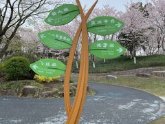 -径山花海