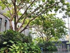 -三亚太阳湾柏悦酒店