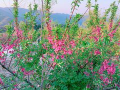 -鬼笑石后山停车场