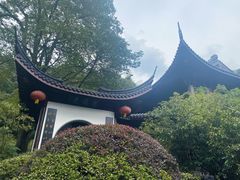 -十八棵（老龙井）御茶园(老龙井店)