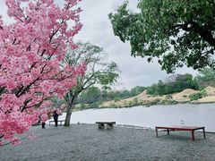 -水前寺成趣园