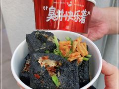 -黑色经典臭豆腐·湖南特产(坡子街店)