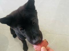 -德元兰州纯汤牛肉面(深圳首店)
