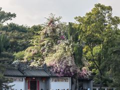 -深圳国际园林花卉博览园