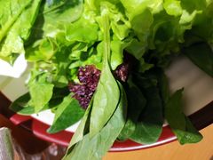 -老牌坊云南鱼豆花火锅(爱建店)