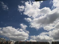 -群力丁香公园