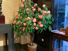 -御茶膳房皇家糕点博物馆(北京首店)