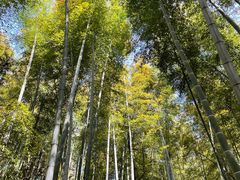-宜兴龙背山森林公园