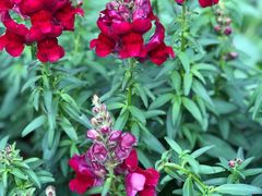 -人民公园(罗湖区)