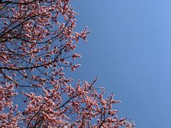 -吉林大学(南岭校区)
