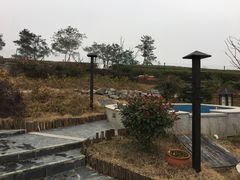 -汤山温泉房车营地 茶温泉