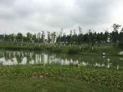 -瑶湖郊野森林公园