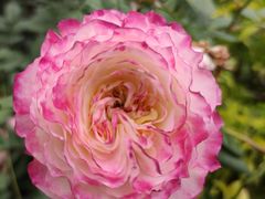 -人民公园(罗湖区)