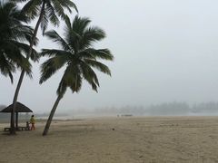 -东郊椰林
